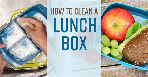 how to clean a lunch box